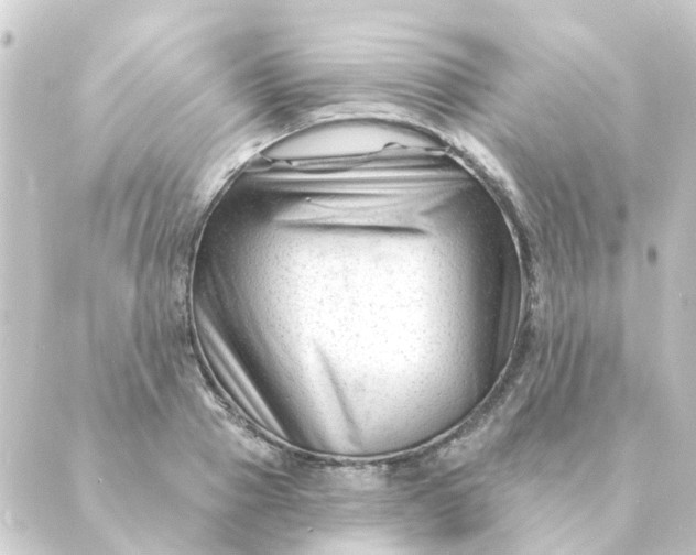 X0000088880937200706221811