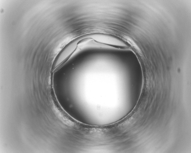 X0000088880938200706221811