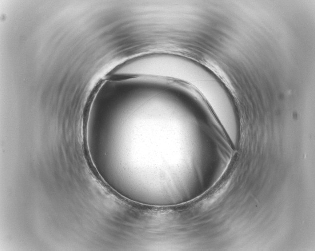 X0000088880939200706221811