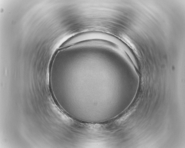 X0000088880940200706221811