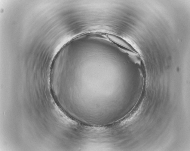 X0000088880941200706221811