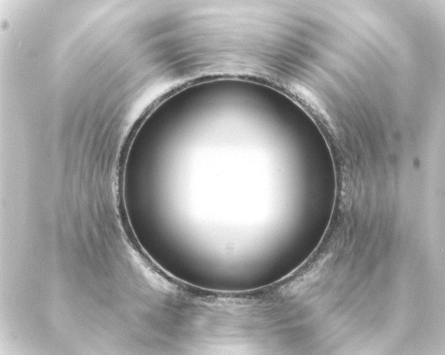 X0000088880942200706221811