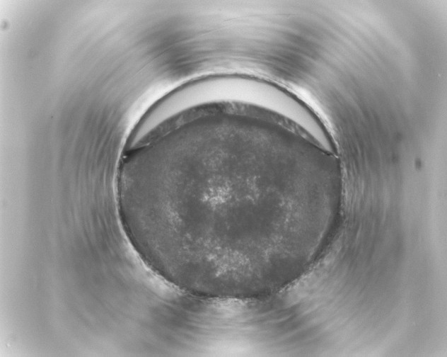 X0000088880943200706221811