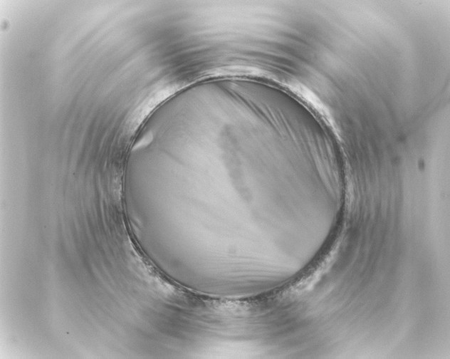 X0000088880945200706221811