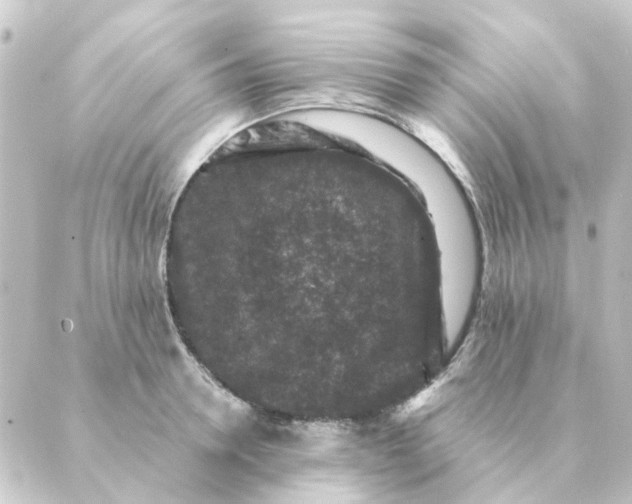 X0000088880946200706221811