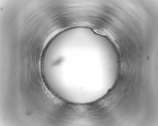 X0000088880947200706221811