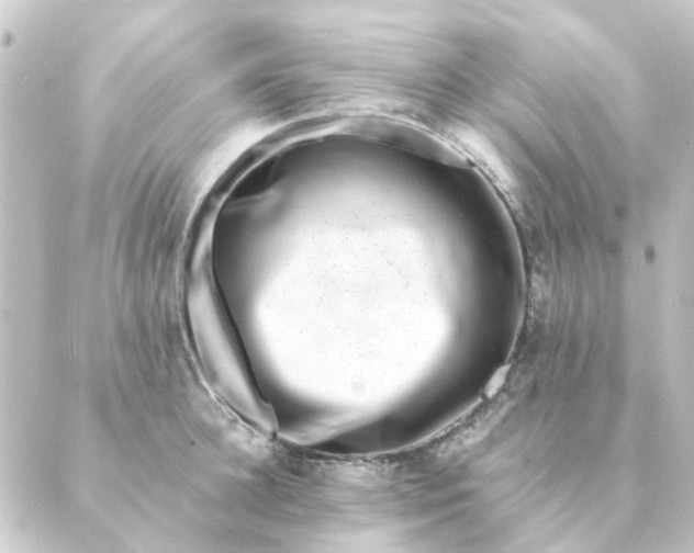 X0000088880948200706221811