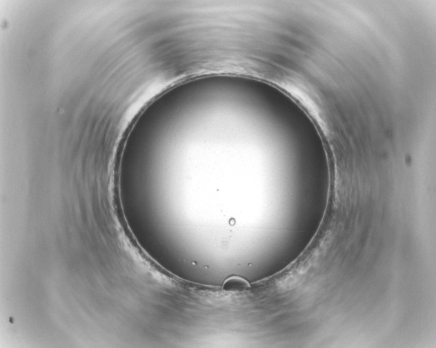 X0000088880949200706221811