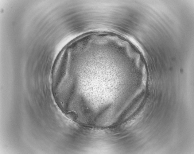 X0000088880951200706221811