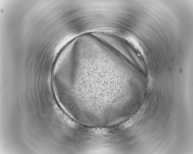 X0000088880952200706221811