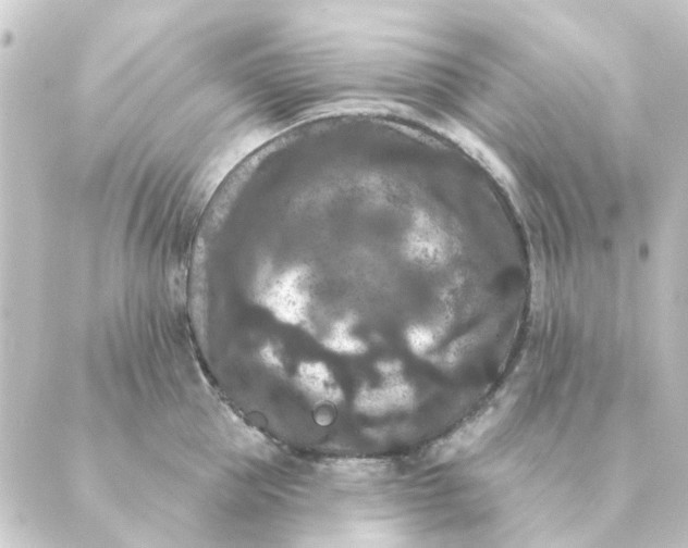 X0000088880953200706221811