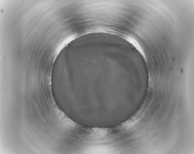 X0000088880954200706221811