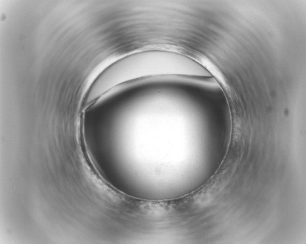 X0000088880955200706221811