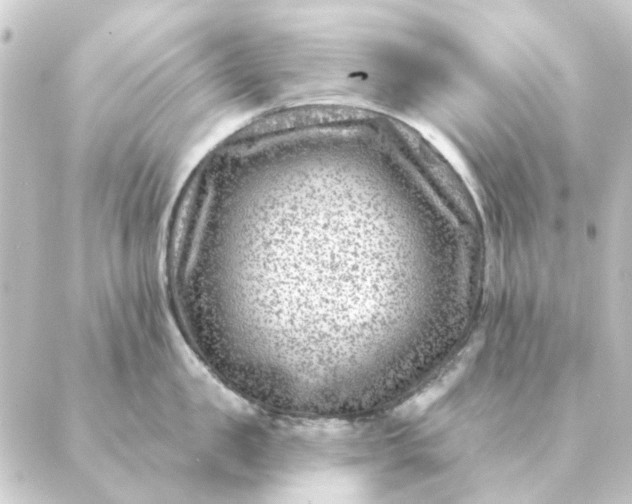 X0000088880957200706221811