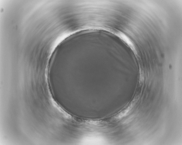 X0000088880958200706221811