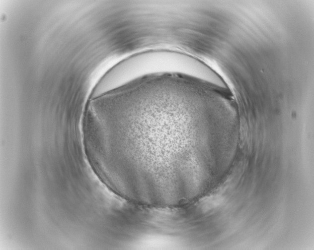 X0000088880959200706221811