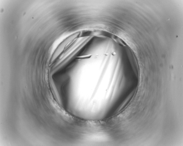 X0000088880960200706221811