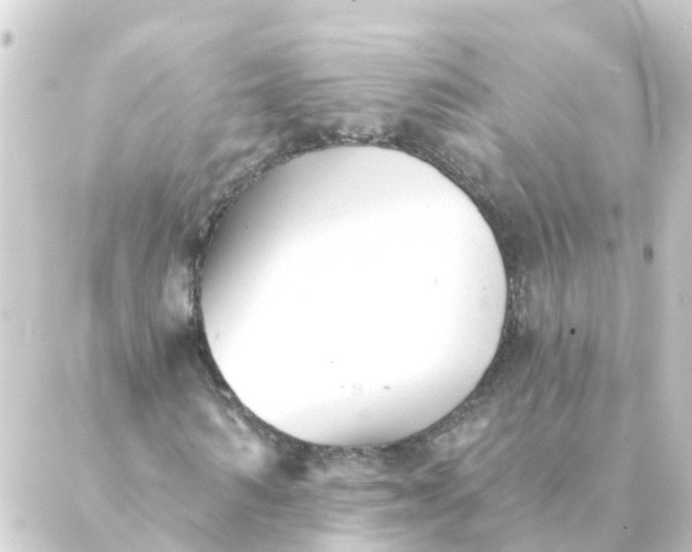 X0000088880962200706221810