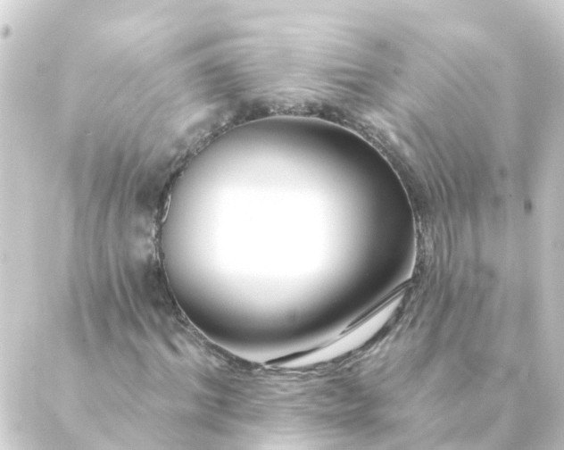 X0000088880964200706221810