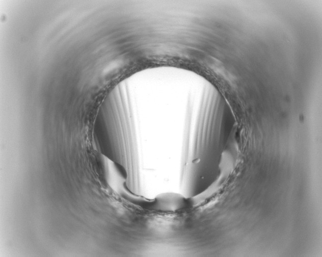 X0000088880965200706221810