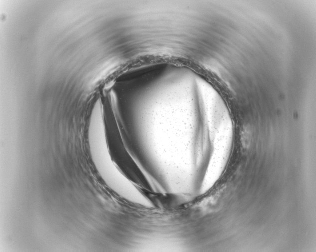 X0000088880968200706221810