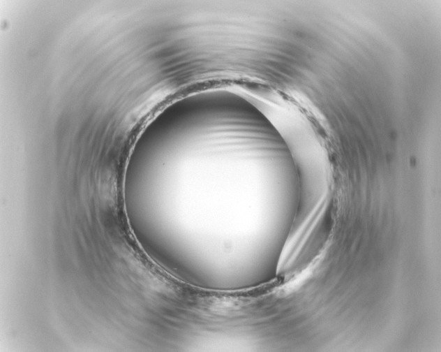 X0000088880969200706221810