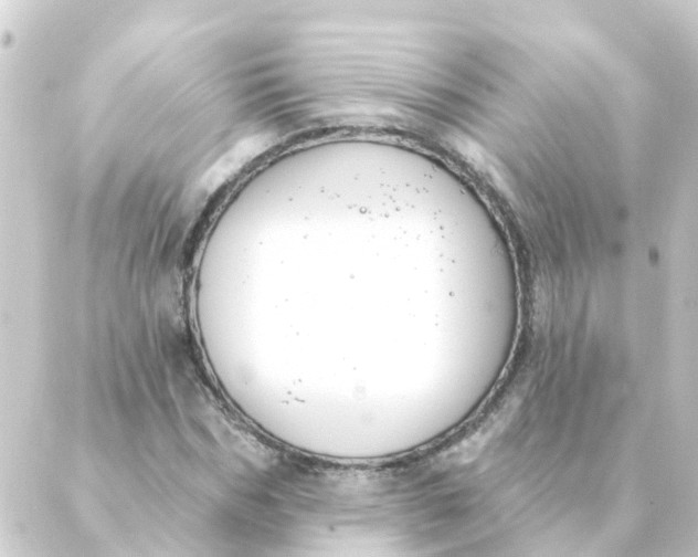 X0000088880970200706221810