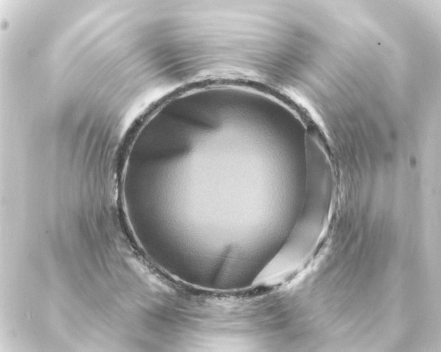 X0000088880973200706221810