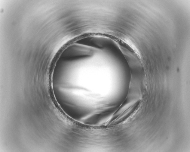 X0000088880976200706221810