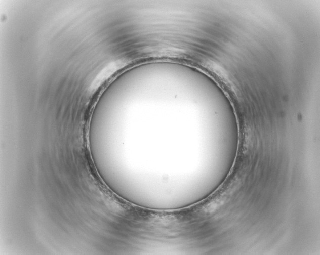 X0000088880978200706221810