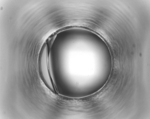 X0000088880980200706221810