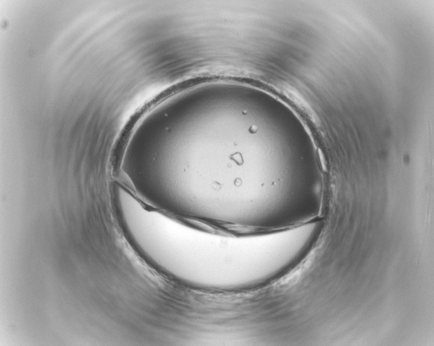 X0000088880981200706221810