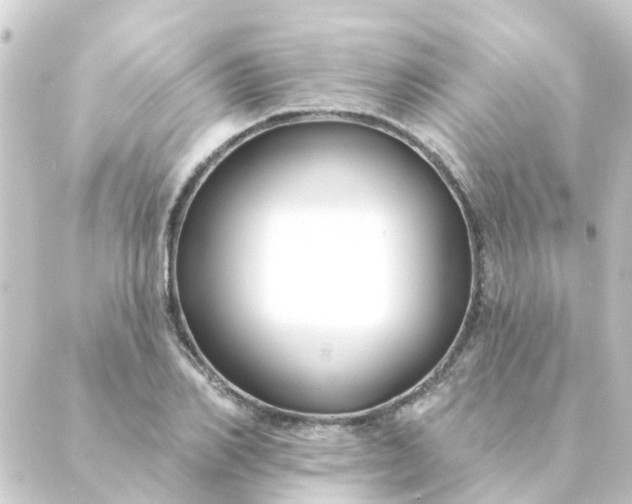 X0000088880982200706221810