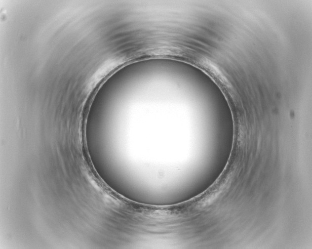 X0000088880986200706221810