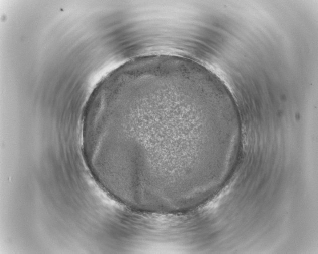 X0000088880987200706221810