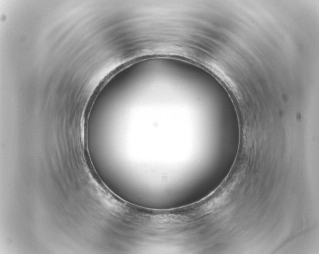 X0000088880988200706221810