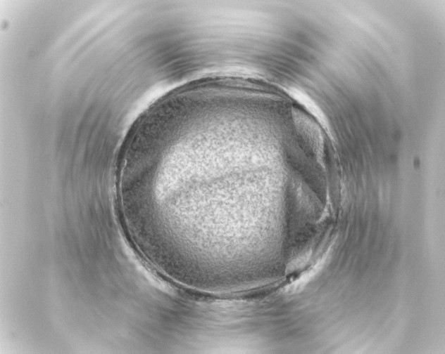 X0000088880989200706221810