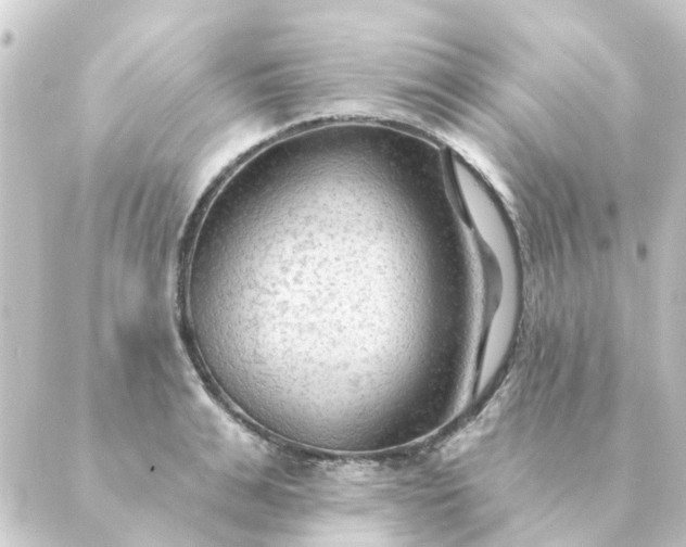 X0000088880991200706221810