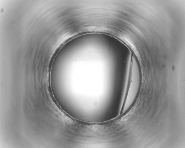 X0000088880992200706221810