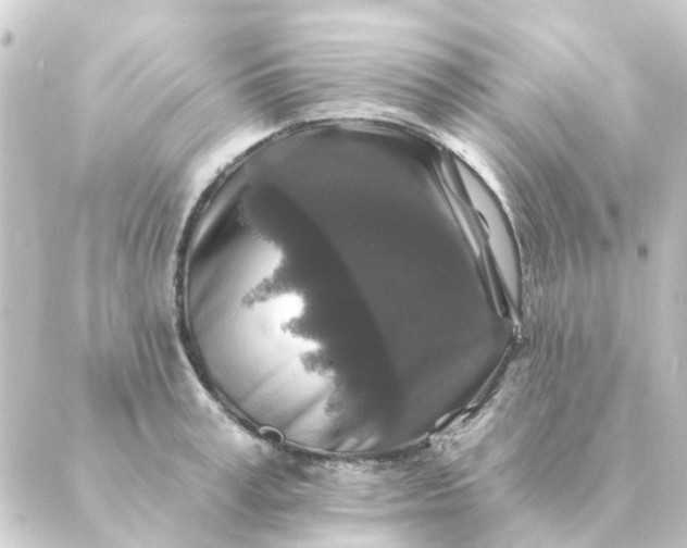 X0000088880995200706221810