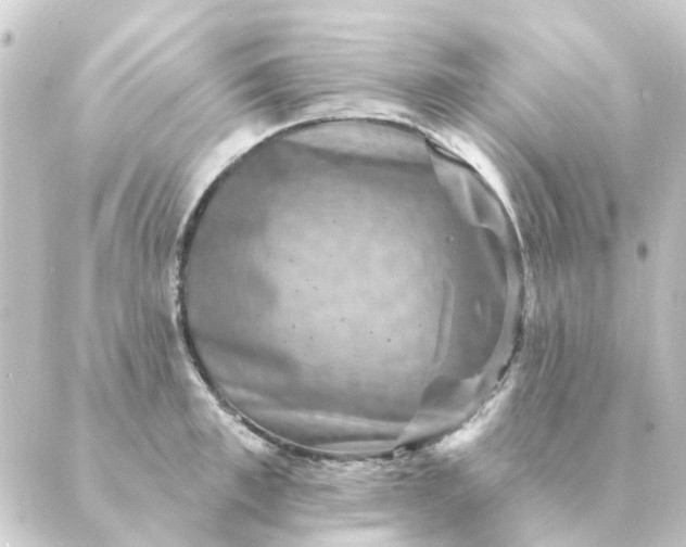 X0000088880997200706221810