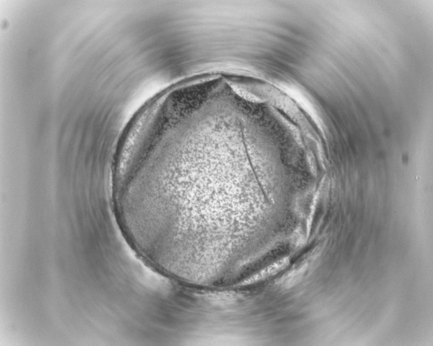 X0000088880999200706221810