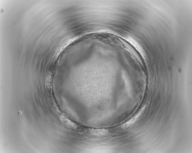 X0000088881001200706221810