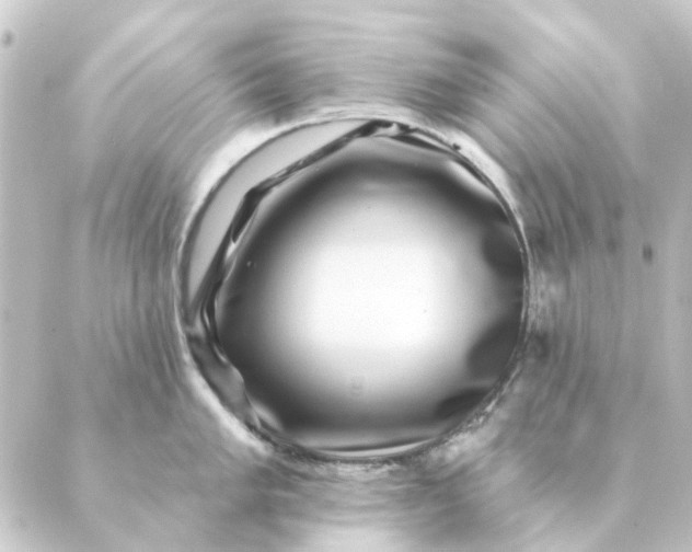 X0000088881005200706221810