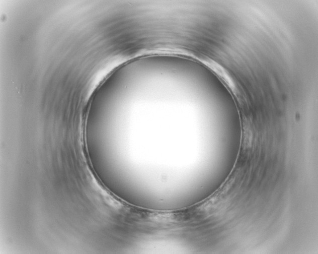 X0000088881006200706221810