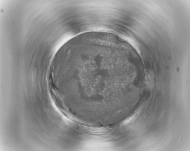 X0000088881007200706221810