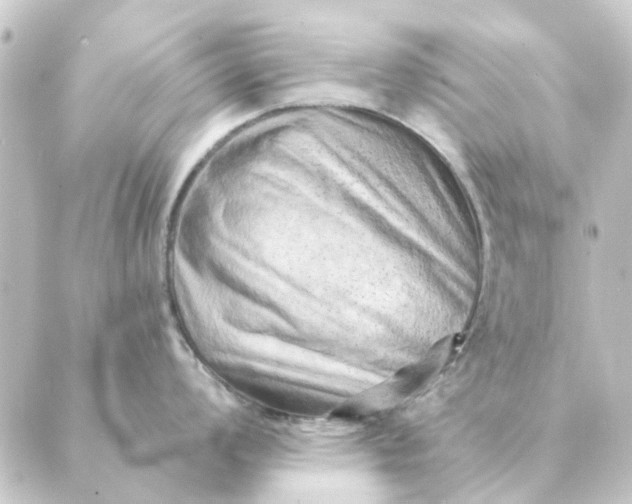 X0000088881008200706221810