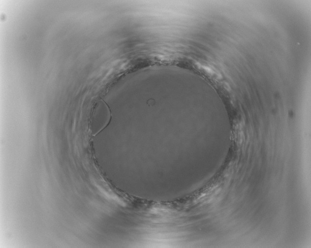 X0000088881009200706221809