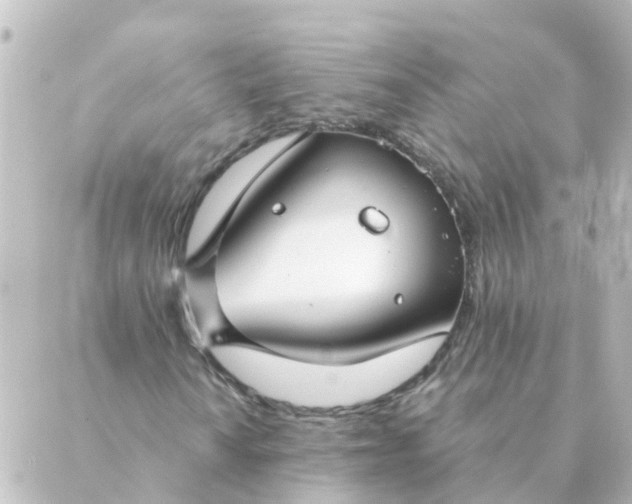 X0000088881010200706221809