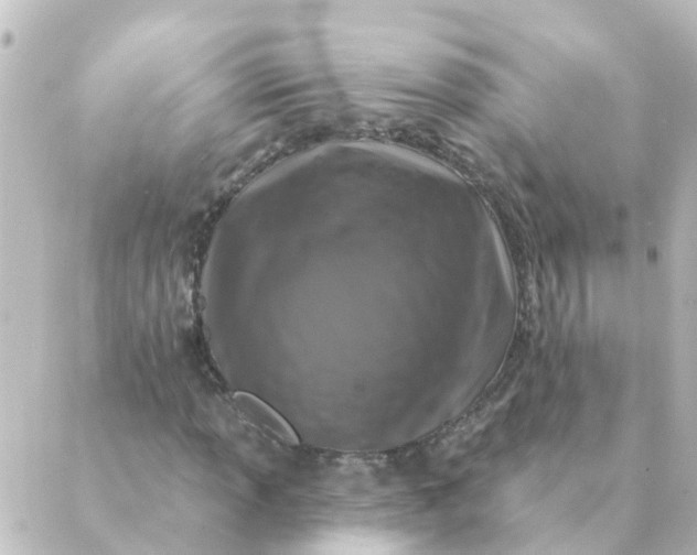 X0000088881013200706221809